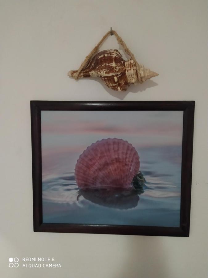 Casa Ohana-Disfruta Del Paraiso Isla Holbox ภายนอก รูปภาพ