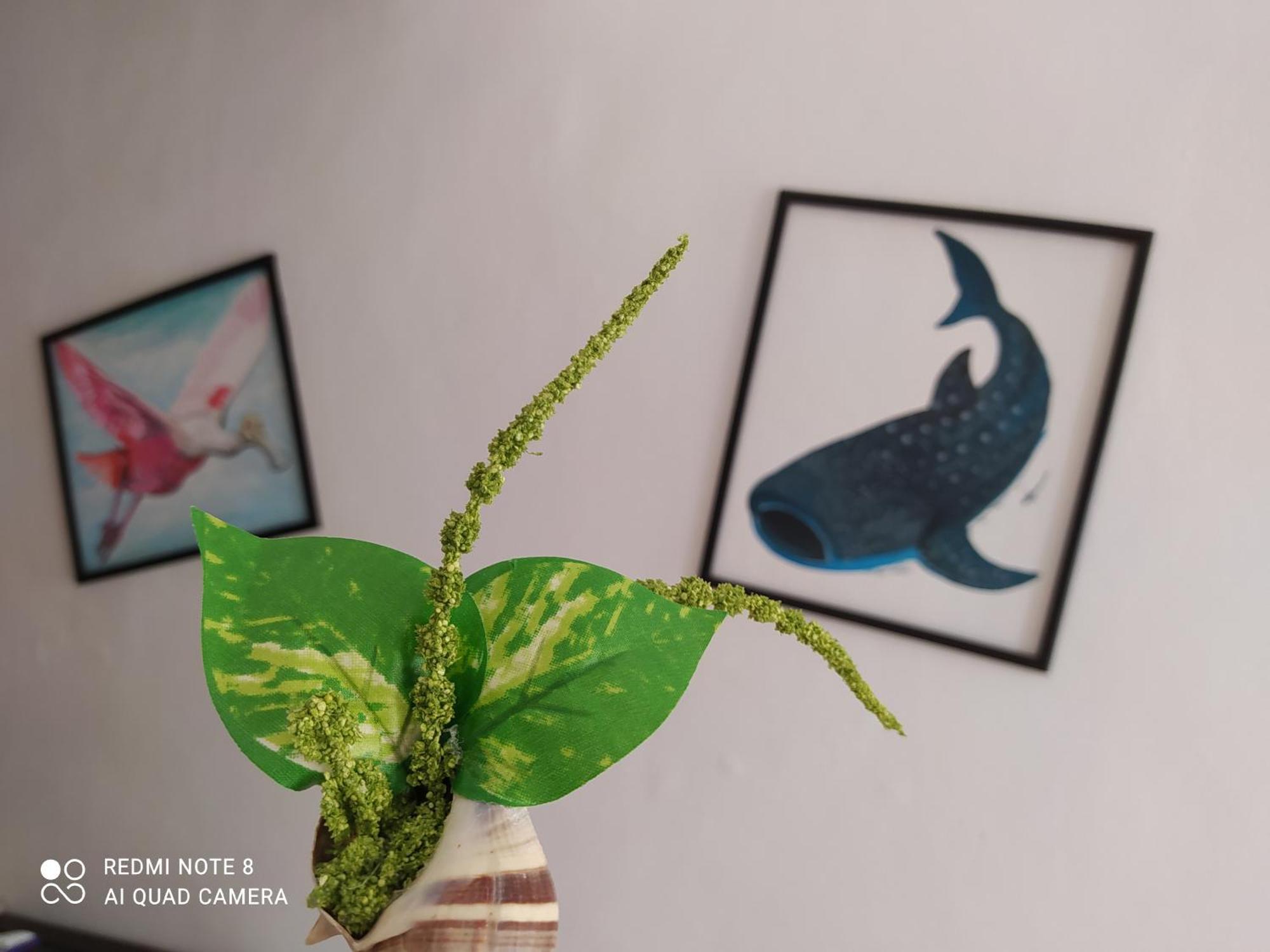Casa Ohana-Disfruta Del Paraiso Isla Holbox ภายนอก รูปภาพ