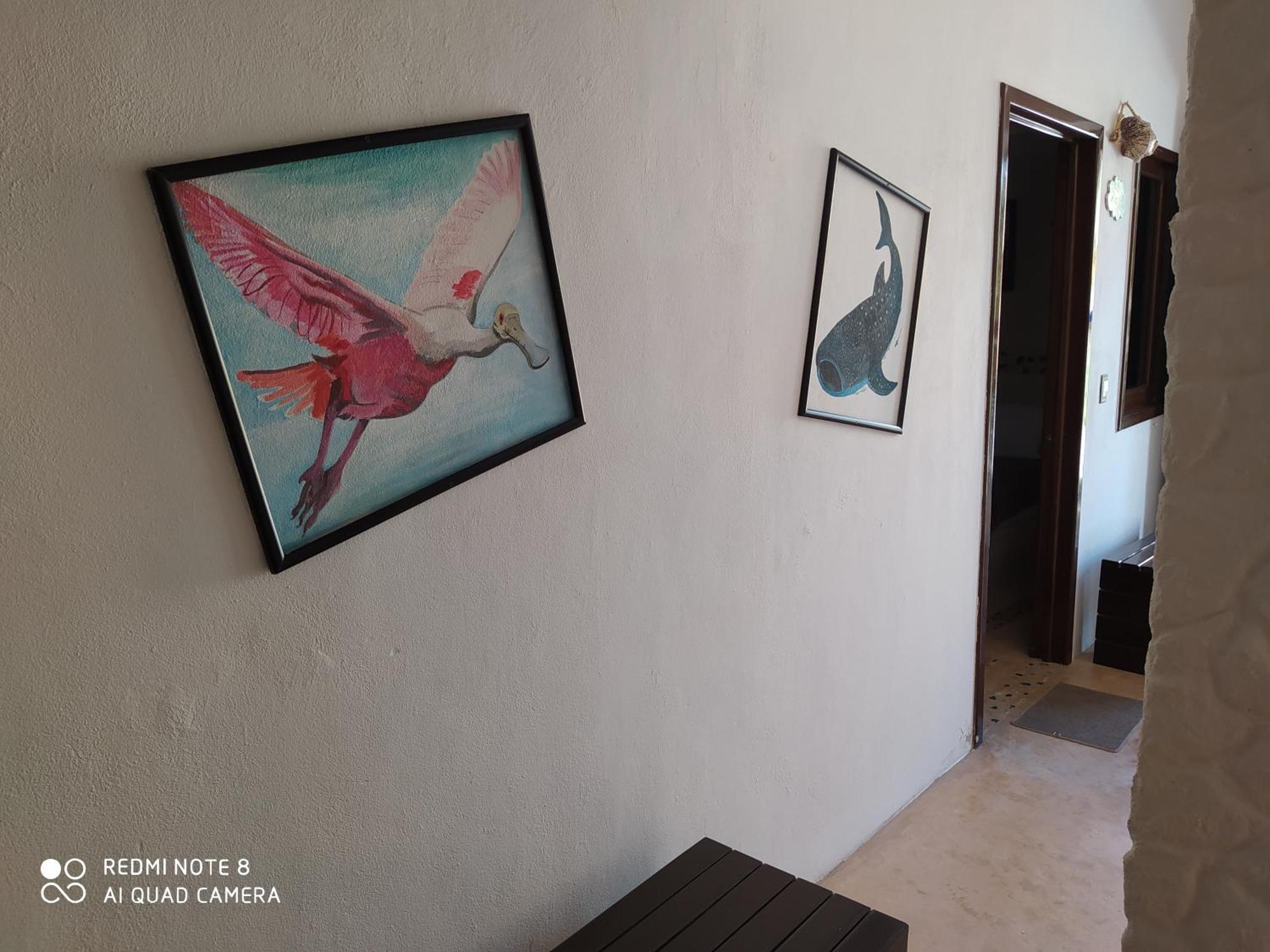 Casa Ohana-Disfruta Del Paraiso Isla Holbox ห้อง รูปภาพ
